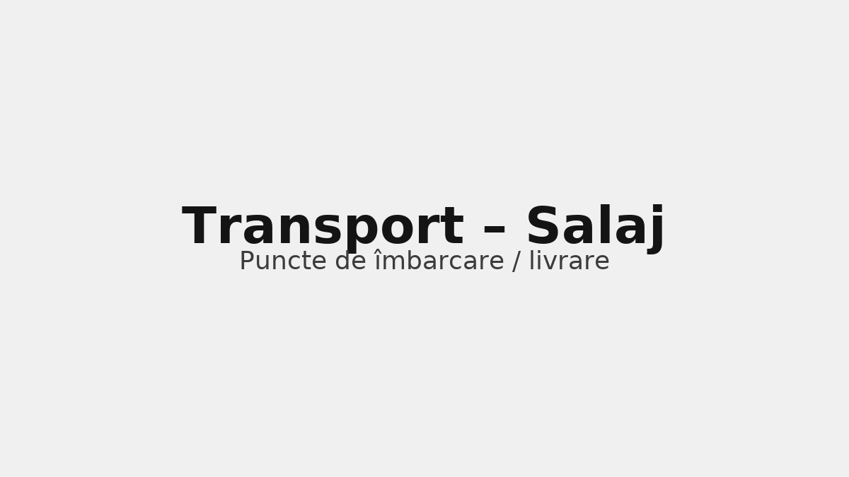 Transport în județul Salaj – rute către UK & Germania, puncte de îmbarcare